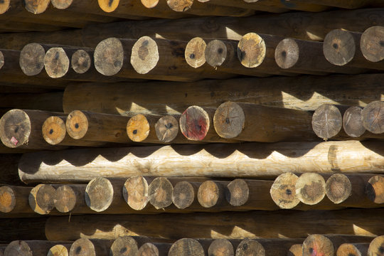 pali di legno accatastati