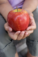 Apple in the hand