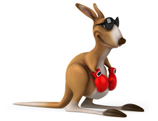 Fun kangaroo © Julien Tromeur