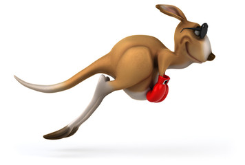 Fun kangaroo © Julien Tromeur