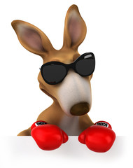 Fun kangaroo © Julien Tromeur