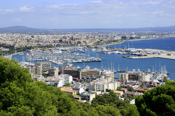 Obraz premium Panoramic view of Palma de Mallorca, Spain
