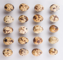 Quail eggs over white background 