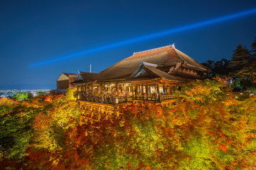Naklejka premium The famed stage at Kiyomizu Dera during the annual fall light sh