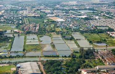 Bird's-eye view on  rice fields Bangkok vicinity