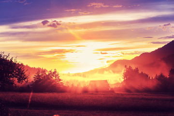 Obraz premium Fog on meadow. Washington