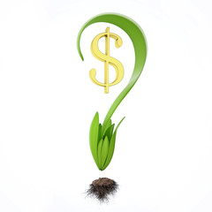 Question mark with dollar