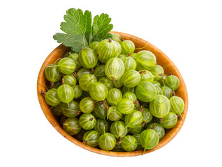 Gooseberry