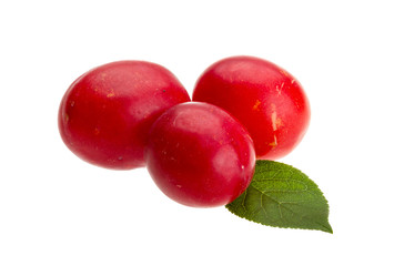 Damson plum