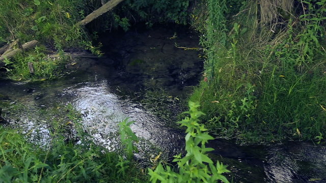 Natural forest creek.Spring-water source, a spring.