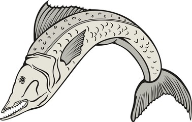 Fish06EG1