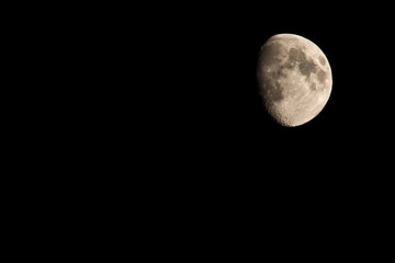 Mond