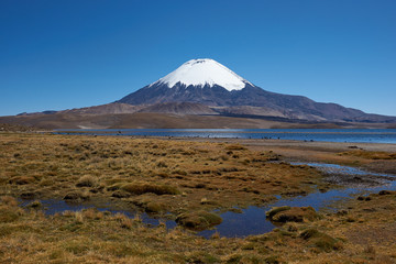 Parinacota Volcano
