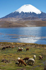 Parinacota Volcano