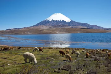 Foto op Plexiglas Parinacota Volcano © JeremyRichards