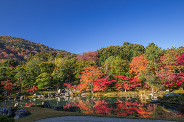 Obraz premium 秋の天龍寺