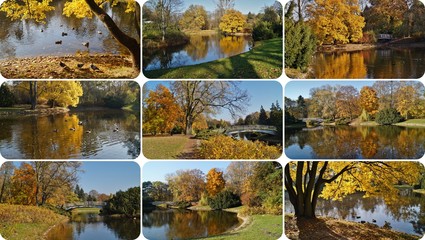 The colors of autumn ,Lodz - photo collage