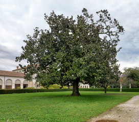Parco