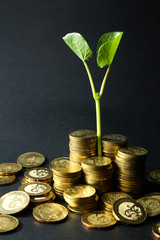 Business concept of financial growth