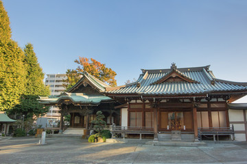 Fototapeta premium 正覚寺