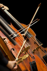 Fragment Bass Symphony Orchestra