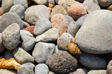 Beach colours  stones