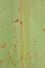 Background of rusty metal, painted in green