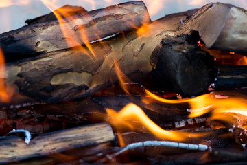 fire from burning firewood