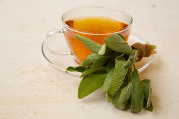 Fresh leaves of garden sage .