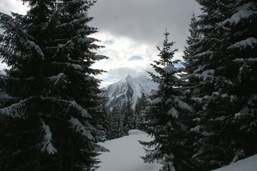 Bergwelt im Schnee