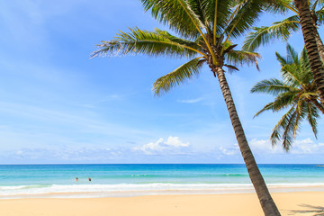 Tropical beach in Phuket, Thailand