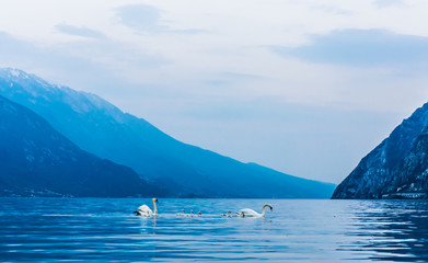 Riva del Garda, Lago di Garda ,Italy