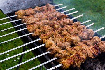 Grilled marinated caucasus barbecue meat shashlik