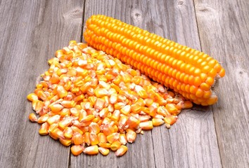 Corn isolated on wooden background