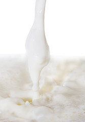 milk on a white background