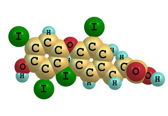 Thyroxine molecule isolated on white