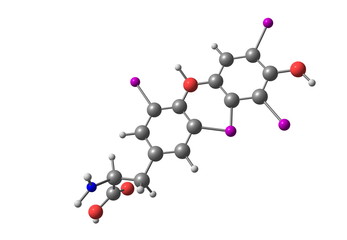 Thyroxine molecule isolated on white