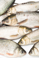 fresh fish