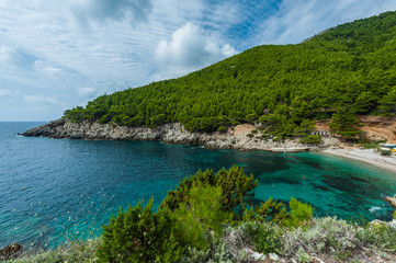 Fototapeta na wymiar Turquoise bay with sandy beach and pines
