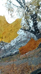 Autumn rain