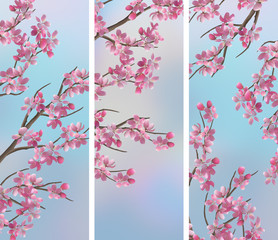Spring Cherry Sakura Banners