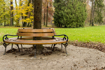 Autumn in Maksimir park, bench around the tree