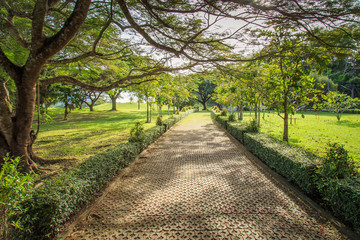 Stone path in the park