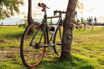 Fototapeta premium Bicycle in the park