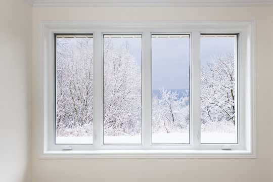 Window with view of winter trees