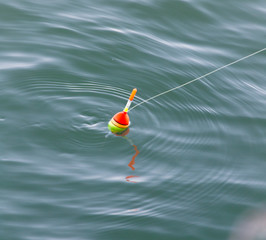 float for fishing in water © schankz