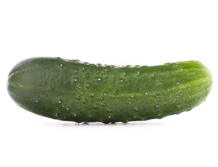Cucumber vegetable  isolated on white background cutout