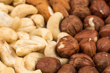Various kinds of nuts