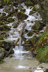 ruisseau  de montagne