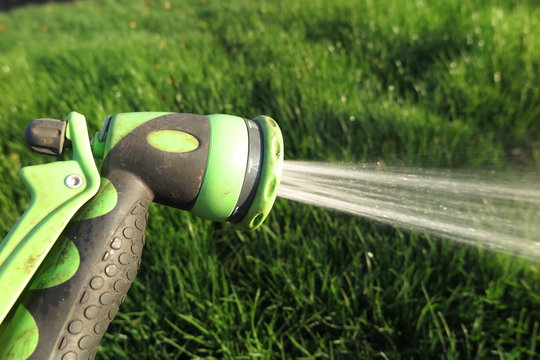 Watering fresh green lawn grass with an adjustable shower